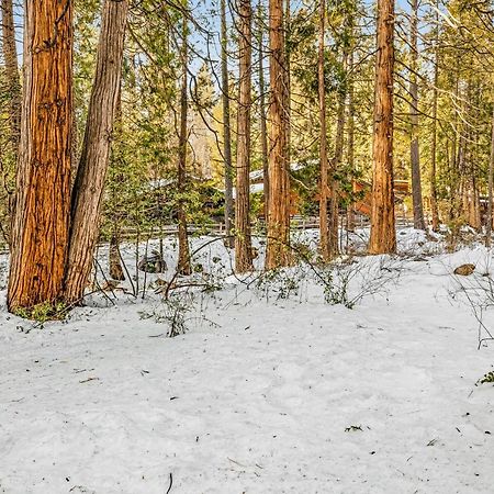 Creekside Cabin Hotell Idyllwild Exteriör bild